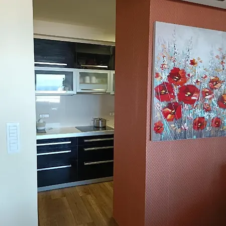 公寓 Apartman Mery 斯普利特